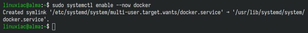 Start Docker and enable its systemd service so it starts automatically at boot.
