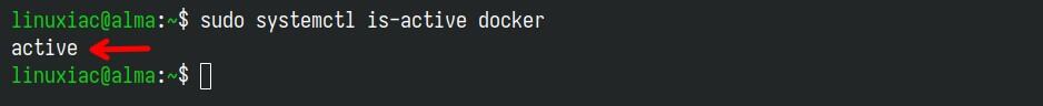 Confirmation that Docker has started.