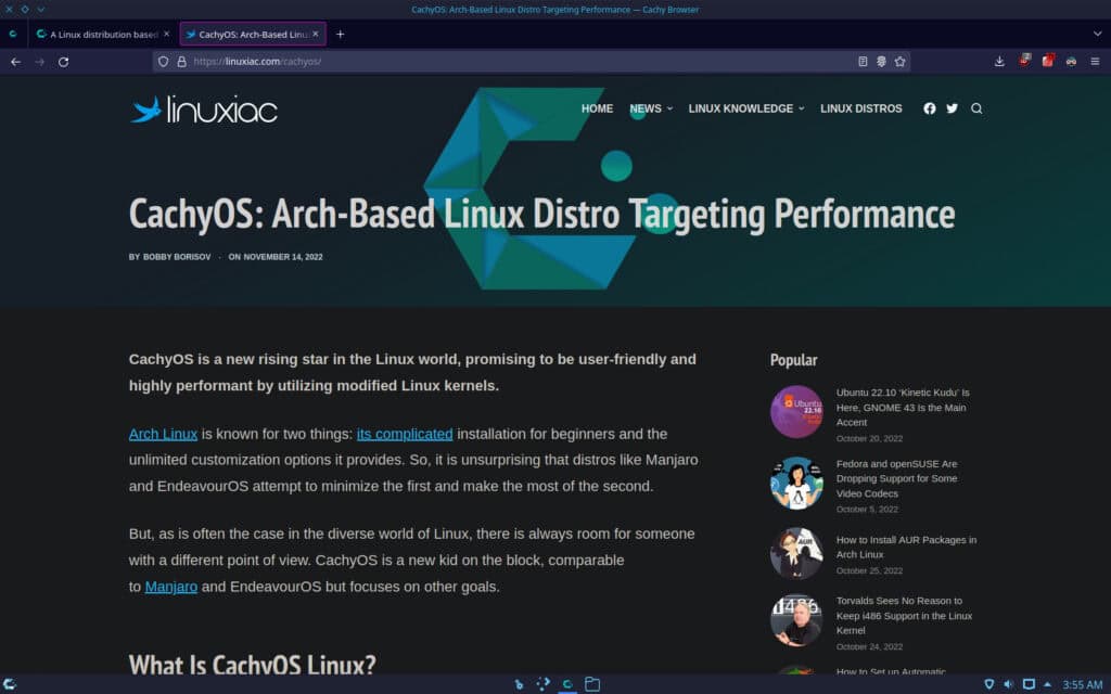 Cachy Browser