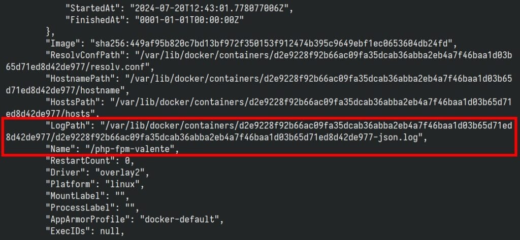 Get detailed information about the container.