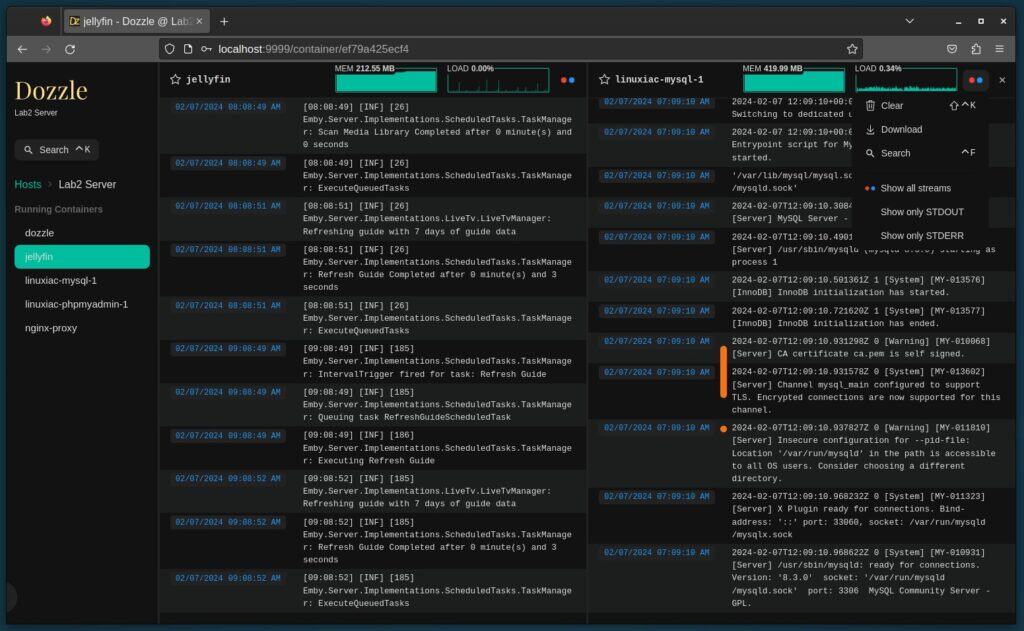Dozzle real‑time Docker log viewer