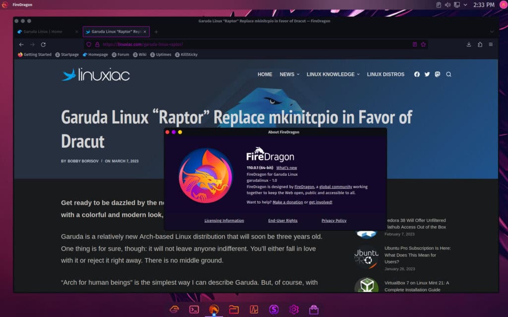 FireDragon Web Browser.