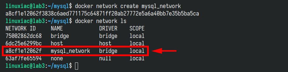 Create a Docker network.